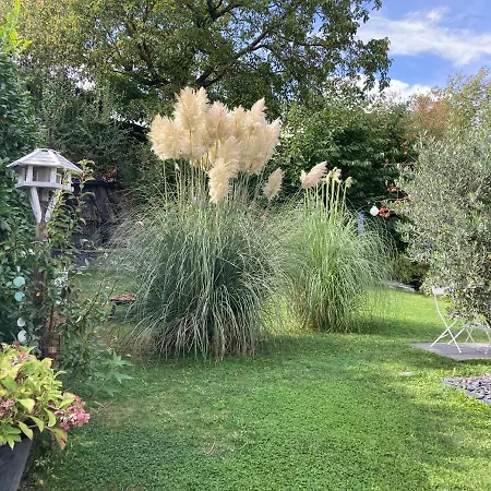 Haus Sybille 公寓 Polich