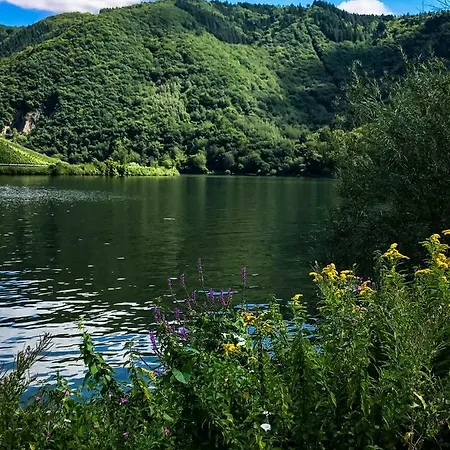 Haus Sybille 公寓 *