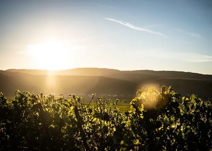 Haus Sybille Lägenhet Polich
